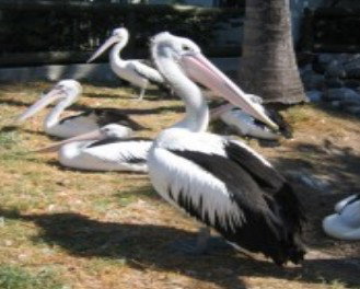 Christmas Cove Caravan Park - Accommodation BNB 0