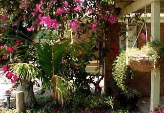Denham Villas - Accommodation BNB