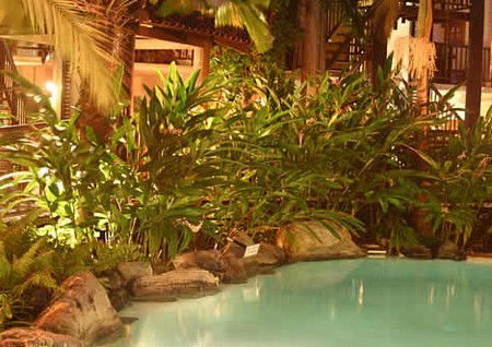 Hibiscus Gardens Spa Resort - Accommodation BNB 3