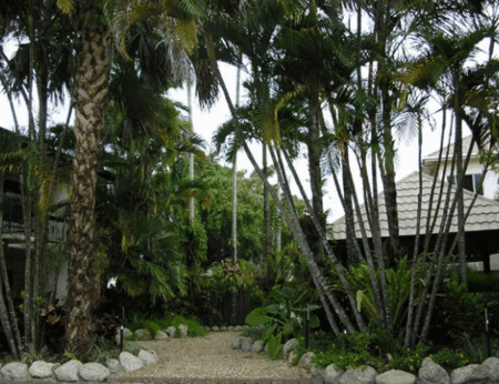 High Chaparral Motel And Apartments - Accommodation BNB 1