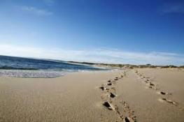Kalbarri Palm Resort - Accommodation BNB 4