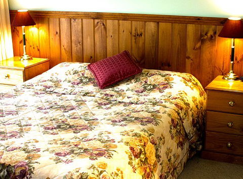 Mountain View Motor Inn And Holiday Lodges - Accommodation BNB 1