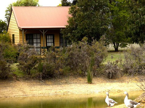 Mountain View Motor Inn And Holiday Lodges - Accommodation BNB 2