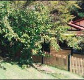 Apple Tree Cottage - Accommodation BNB