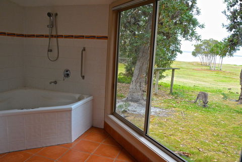 Wattle Point Waterfront Retreat - Accommodation BNB 5