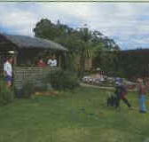 Tambo Lodge - Accommodation BNB