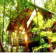 The Canopy Treehouses - Accommodation BNB