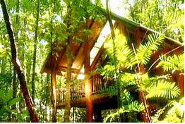 The Canopy Treehouses - Accommodation BNB 0