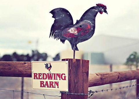 Redwing Farm - The Barn - Accommodation BNB 0