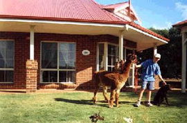 Brilea Cottages - Accommodation BNB 0