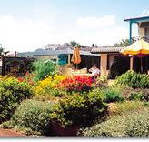 Best Western Applegum Inn Motel - Toowoomba - Accommodation BNB