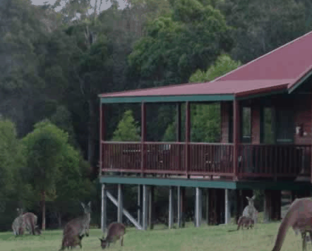 Walpole Wilderness Resort - Accommodation BNB