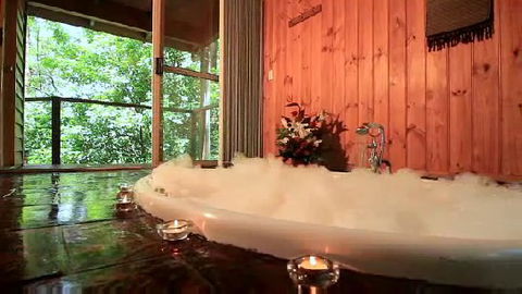Tree Houses Of Montville - Accommodation BNB 0
