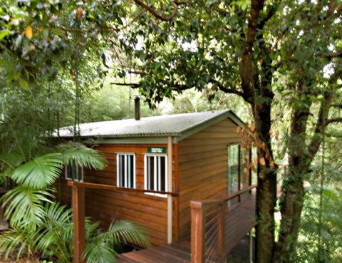 Tree Houses Of Montville - Accommodation BNB 2