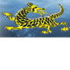 Dragon Phoenix Motel amp Restuarant - Accommodation BNB