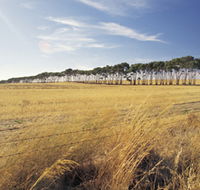 Port Wakefield Motel - Accommodation BNB