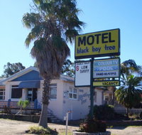 Blackboy Tree Motel - Accommodation BNB