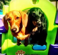 AAA Pet Motel - Accommodation BNB