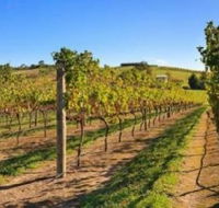 DeVine Escape - Accommodation BNB