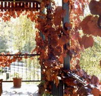 The Vines Motel amp Cottages - Accommodation BNB