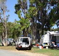 Elliston Caravan Park - Accommodation BNB