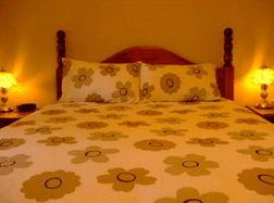 Travelway Motel - Accommodation BNB