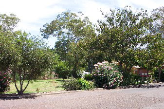 Colonial Inn Tamworth - Accommodation BNB 4