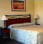 Ashfield Motor Inn - Accommodation BNB 2
