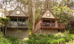 Great Ocean Road Cottages - Accommodation BNB 1