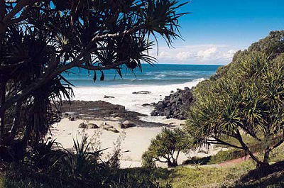 Grande Florida Beachside Resort - Accommodation BNB 19