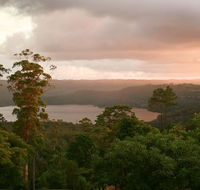Montville Misty View Cabins - Accommodation BNB
