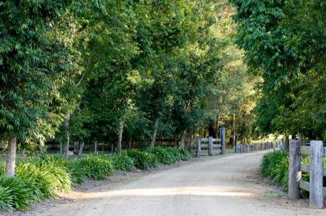 The Plantation - Accommodation BNB 0