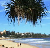 Mariners Caloundra - Accommodation BNB