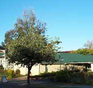 Riverland Motor Inn - Accommodation BNB