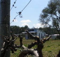 Ridgemill Escape - Cabins In The Vineyard - Accommodation BNB