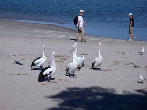 Kalbarri Accommodation Service - Accommodation BNB 5