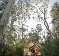 Paperbark Camp - Accommodation BNB