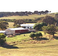 Sun Valley Eco Farm - Accommodation BNB