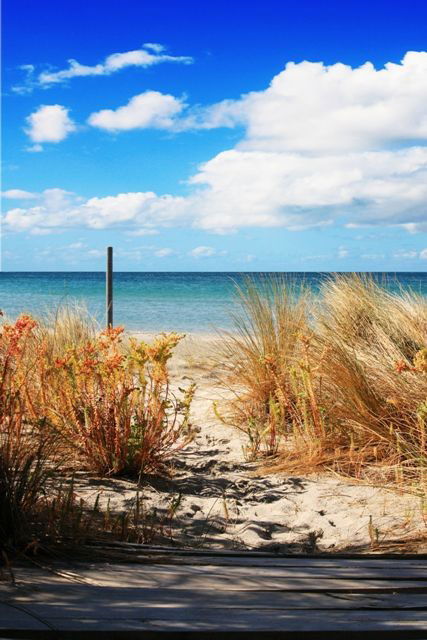 Wittows Beach-House - Accommodation BNB 0
