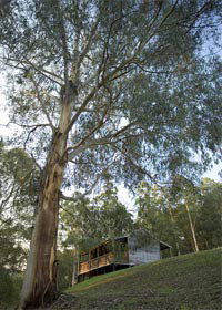 Ada VIC Accommodation BNB