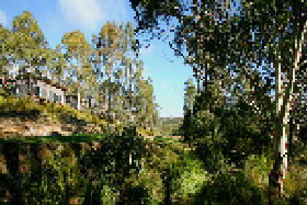Rossarden TAS Accommodation BNB
