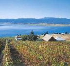 Marions Vineyard  - Accommodation BNB