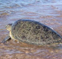 Mackerel Islands - Accommodation BNB