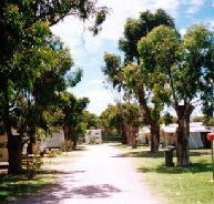 Bathers Paradise Caravan Park - Accommodation BNB