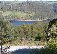 Charlyn Lodge - Accommodation BNB