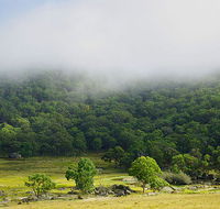 Tor Cottage at Anketell Forest - Accommodation BNB