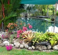 Daintree Wild Bed And Breakfast - Accommodation BNB