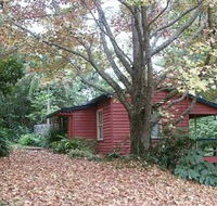 Turkeys Nest Rainforest Cottage - Accommodation BNB