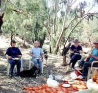 Bimbimbi And Little Hollow Farm Stay - Accommodation BNB