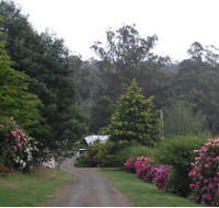Mountain Rivers Lodge - Accommodation BNB